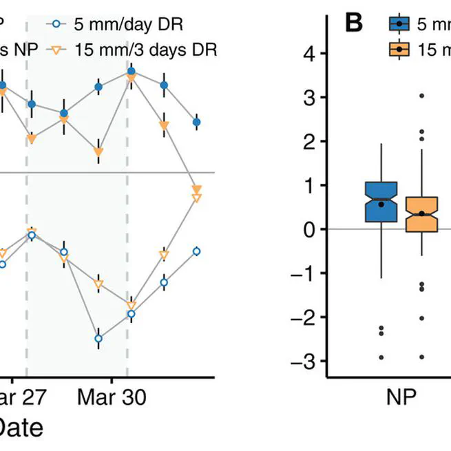 Soil Moisture Dynamics under Two Rainfall Frequency Treatments Drive Early Spring CO$_2$ Gas Exchange of Lichen-Dominated Biocrusts in Central Spain